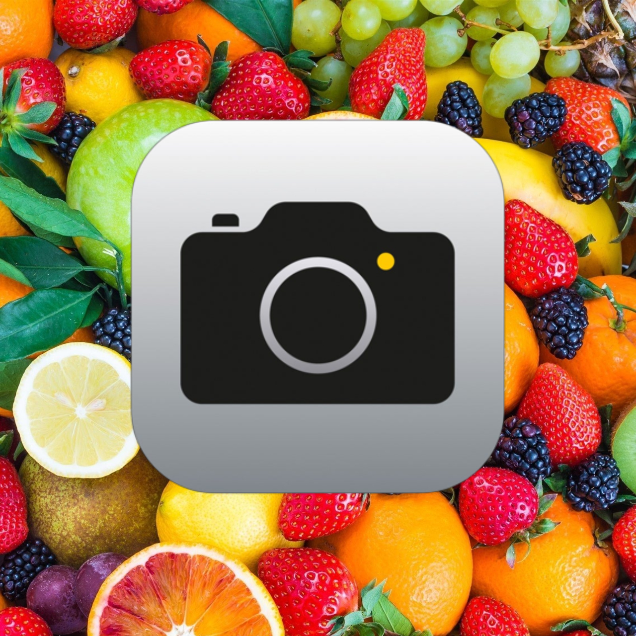 Fruit Quality Scanner